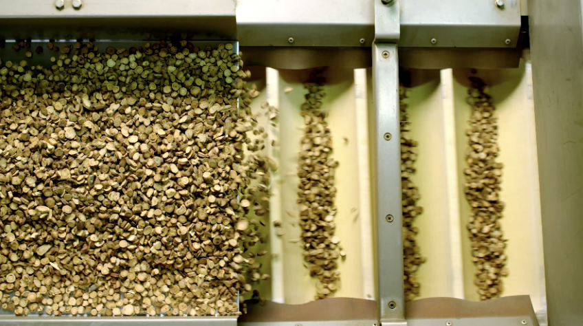 九游会·J9(中国游)官方网站-真人游戏第一品牌